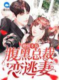 婚情不负:腹黑总裁恋逃妻